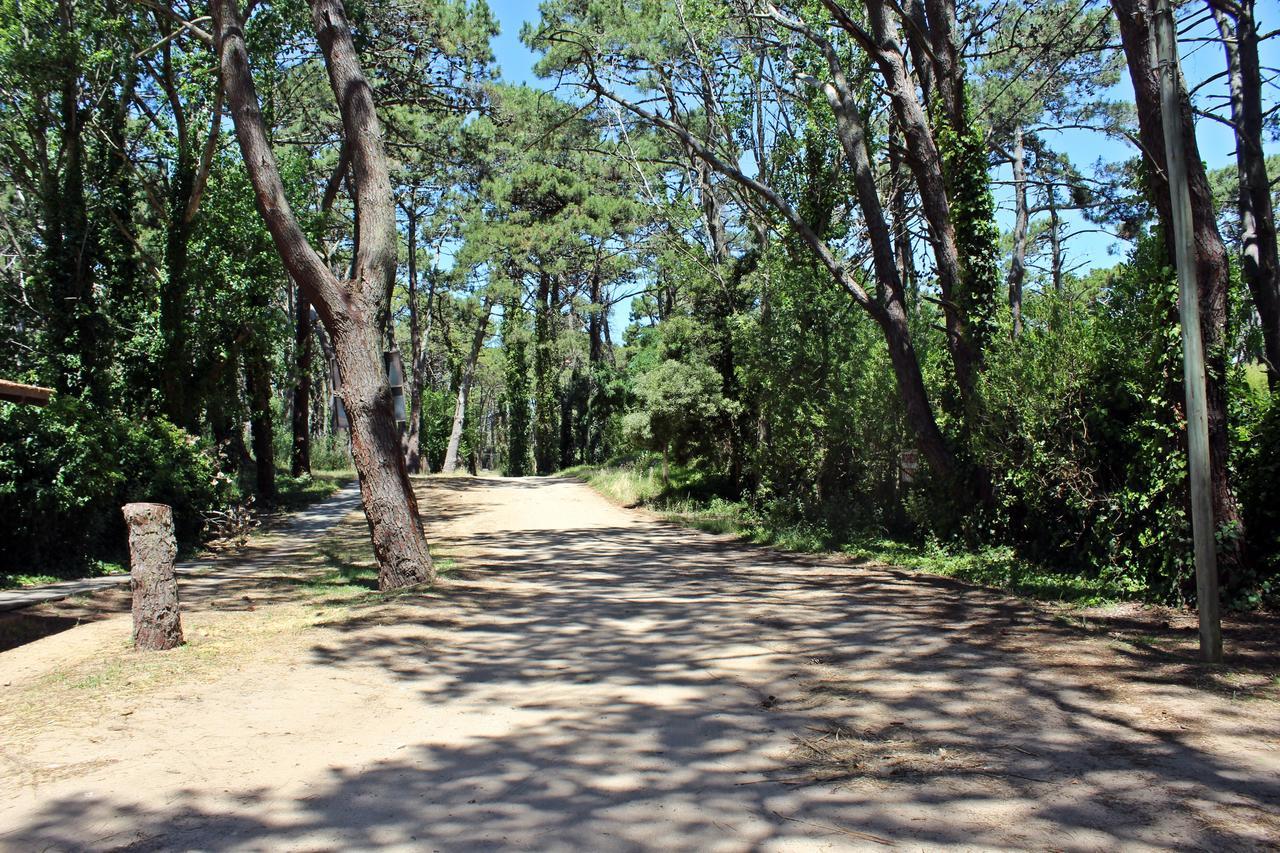 Ramma Camping Pansiyon Villa Gesell Dış mekan fotoğraf